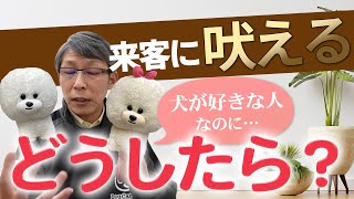 【犬のしつけ】来客に吠えてしまう【悩み相談ライブ切り抜き】