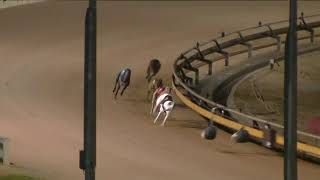 Warragul greyhounds Sat Aug 7 2021 - Presidents Cup (680 metres)