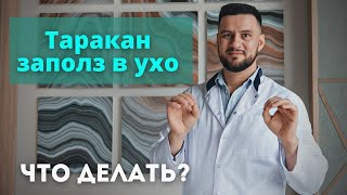 Инородное тело в ухе у ребенка, застряла игрушка. Таракан заполз в ухо. Что делать?