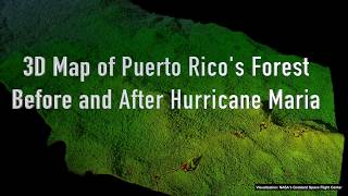 3D Map of Puerto Rico's Forest: Before and After Hurricane Maria