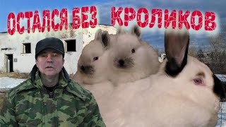 ОСТАЛСЯ БЕЗ КРОЛИКОВ СТАЛ СВОБОДНЫМ ИЗБАВИЛСЯ ОТ КРОЛИКОВ Кролики содержание и разведение