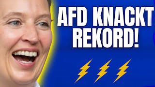 💥AFD BRICHT REKORD! GRÜNE GEHEN UNTER!💥