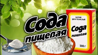 ВСЁ о лечении СОДОЙ. Отёки. Чистка ЛИМФЫ. Ощелачивание. Кислотно-щелочной БАЛАНС / Фролов Ю.А.