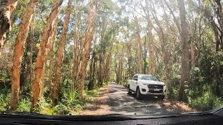 Byron Shire's BEST Kept Secret: Myocum Countryside Drive