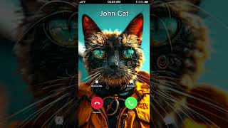 Black Cat is Calling You 🐯 #johnycat