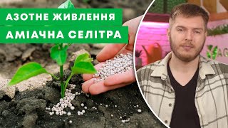 АМІАЧНА СЕЛІТРА | Норми та терміни внесення. ПОВНИЙ ПОСІБНИК добрива  | Agro-Market.ua