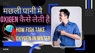 मछली पानी मे oxigen कैसे लेती है। #shorts#fish#new#fyp#explore#oxigen  @aknowledgetv