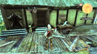 The Witcher 3: Wild Hunt hanna quest