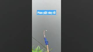 #arekbudoyo #fishing phao đã giật nhẹ rồi thì chuẩn bị nhấc 👌