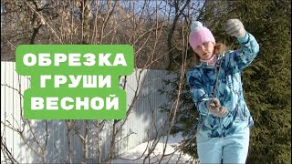 Правильная ОБРЕЗКА ГРУШИ ВЕСНОЙ