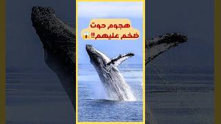 #هجوم #الحوت  الضخم عليهم! #whale ##huge #fypシ #foryou #shorts #fyp #ocean #swimming #watch