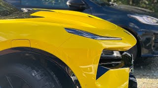 Giving the lotus Eletra a bit of a wash and spotting some lemons.