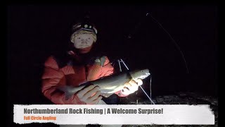 Northumberland Rock Fishing | A Welcome Surprise Saves the Blank | Winter Cod Fishing Episode 4