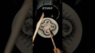 Triple Paradiddle - POV #drumrudiments #batterista #asmr