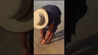 Bush Tucker Bunjie - Beach Food #funnyshorts #comedy #lol #funny #viral #australia #survival