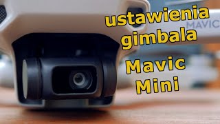 Kurs Mavic Mini - Ustawienia gimbala