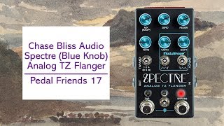 Chase Bliss Audio Spectre (BKM) | Pedal Friends 17