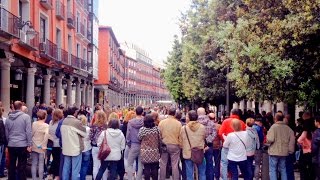 Spiral Woman en el Festival Internacional de Teatro y Artes de Calle de Valladolid 2016 (TAC 2016)