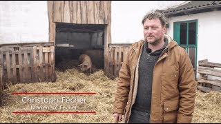 Keine Kapitalschlacht auf dem Rücken der Tiere