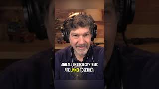 Is it true that medicine kills more people than it saves? - with Bret Weinstein #shorts