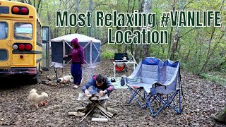 Vanlife FREE relaxing waterfront campsite : This Was Unexpected!!