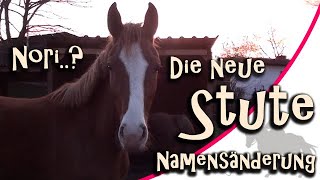 Namensänderung - Noris langer Name