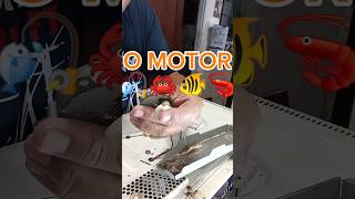 Motor Do Torno NENE NA PESCA 🎣🦀🐠🦐🐟🏖️ #pescador #torno #fishing #pesca #viral