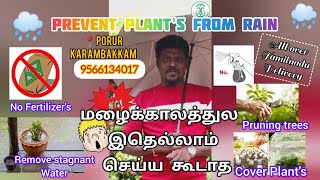 மழையால் செடி அழுகுகிறதா 😮? - இனி வருத்தம் வேண்டாம் !! Caring tips & Solution 👆🏻 #preventplants