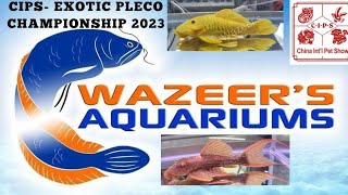 Exotic Pleco Competition CIPS 2023 - World Championship