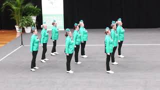 2023 Australian DrillDance Championships - Aqua Illusion QLD Masters Technical Drill