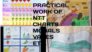 PRACTICAL WORK  OF 2ND YEAR||FILES, CHARTS,.. ||AANJU SHARMA ||MAHAK NTT VLOGS