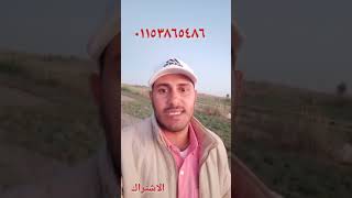 المشروع الحيواني فى الوادى الجديد للاستعلام الاتصال بنا ٠١١٥٣٨٦٥٤٨٦