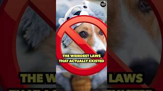 The weirdest laws around the world that actually existed | #viral #explore #education #facts #weird