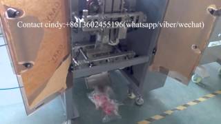 ZV-420B bucket chain packaging machine