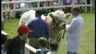 Turriff Show #10