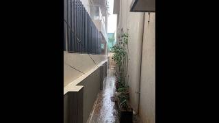 July monsoon has finally arrived. A view of my small side garden getting drenched in rain