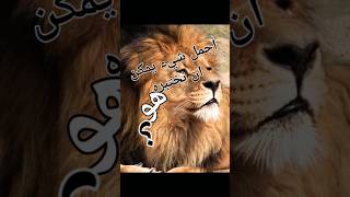 لا تكن كتابا مفتوحا يقرأه الجميع #منوعات # اقوال وحكم