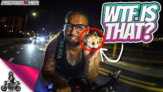 Birthday Grom Ride | Meeting Patrons | Mini Pigs