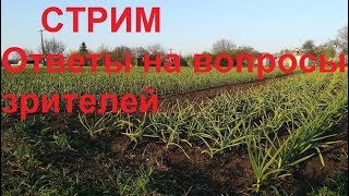 Ответы на вопросы зрителей