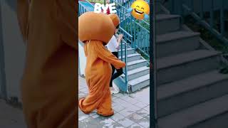 Funny Video l Funny Bear 🐻😂 P1717 #Shorts