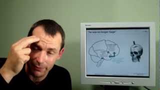 Emotional Intelligence (EQ) and the Brain (2 of 2) - Jonathan Fanning