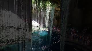 Swimming in Cenote Ik-Kil in | #shorts #travel #cancun #yucatán #mexico #mayans #destination #cenote