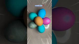 🔴ASMR🔵 Most Satisfying Egg Surprise ASMR #asmr #shorts #mostsatisfying #eggsurprise #shortsviral