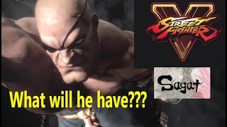 SF5 Sagat - Speculation