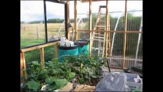 garden,new greenhouse