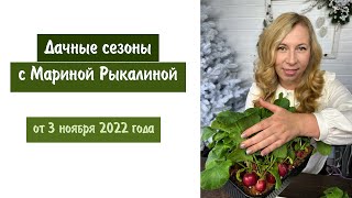 Дачные сезоны с Мариной Рыкалиной от 3 ноября 2022 года