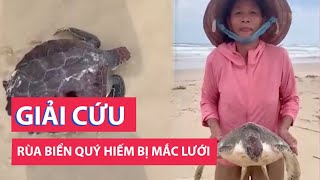 Rùa biển quý hiếm bị mắc lưới dạt vào bờ được người dân giải cứu thả về biển