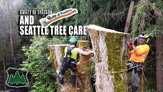 Guilty of Treeson and Seattle Tree Care Clean Up Competitors DISASTER!