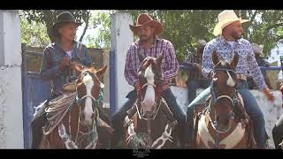 Jaripeo a Capa Lazo por Primera Vez Laguna Seca En La Guadalupana de Santiaguito Morelia