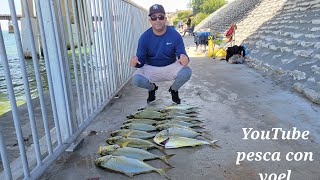 #pesca en bahía honda lo nunca visto  ✅️